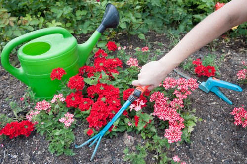A close-up view of a garden bed featuring vibrant red and pink flowering plants, with a green plastic watering can positioned on the soil towards the left side of the image. The soil appears well-maintained and slightly moist. A personâ€™s hand, visible from the right side, is holding a blue garden hand fork, suggesting active gardening or planting activity. The background includes dense green foliage, indicating a healthy, thriving outdoor space typical of a landscaped garden in Euston. The scene is set in natural daylight with soft shadows, highlighting the textures of the flowers, soil, and garden tools, and reflecting the seasonal growth typical of garden maintenance services in the local area. The overall environment suggests a carefully tended garden bed as part of a residential garden or outdoor area in the vicinity of Euston, London, with attention to plant care and garden organization, consistent with gardening services offered by Gardening Services Euston.