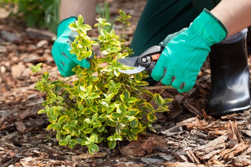 Gardener preparing tools outside a terraced house in Euston