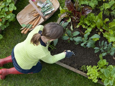 Mixed garden waste separated into compost, wood chippings and soil piles