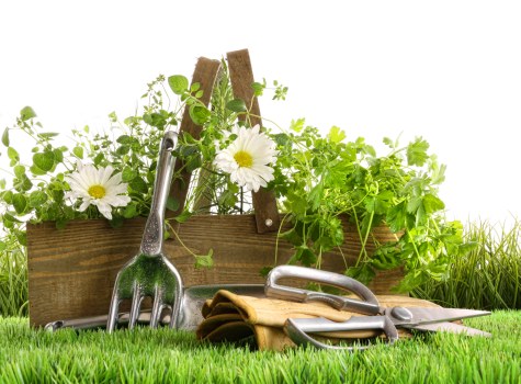Inspection checklist used during supplier audits for gardening services